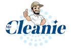 Mr Cleanie